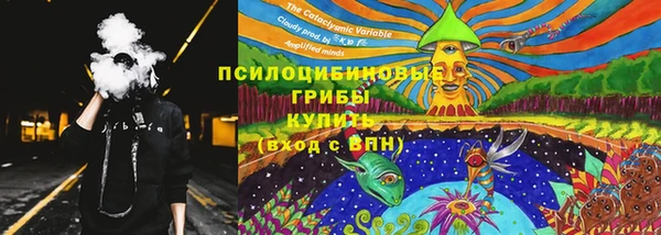 mdpv Майский